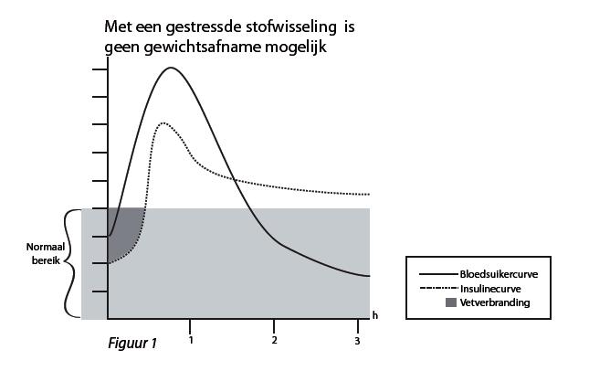VP3-stimuleert-de-stofwisseling